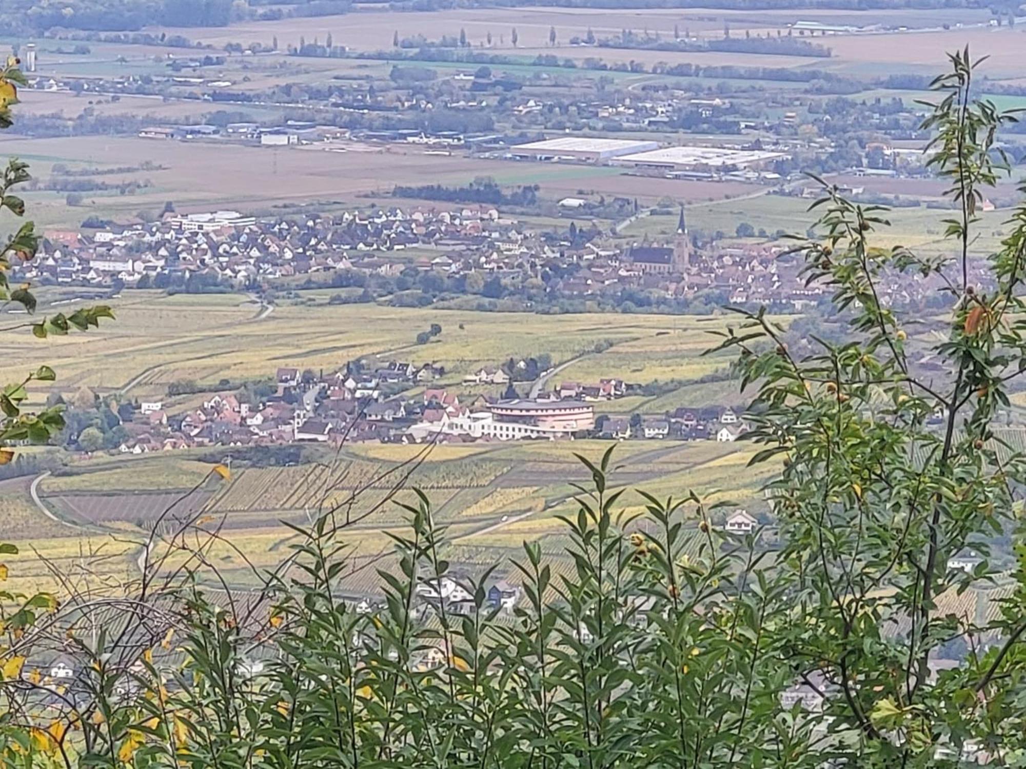 Villa Sur la route du vin à Rorschwihr Extérieur photo